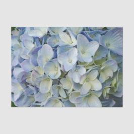 Papel De Seda Belo Blue Hydrangea Flowers Foto