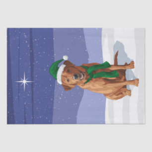 Papel De Seda Belo Buckskin Pinto Cigano Vanner Draft Horse