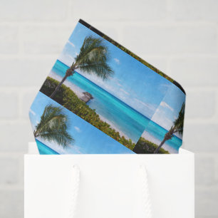 Papel De Seda Belo padrão de árvore de palmeira arejada na praia