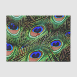 Papel De Seda Belo Penas de Peacock
