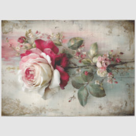 Papel De Seda Belo Rosa de coleção de beleza