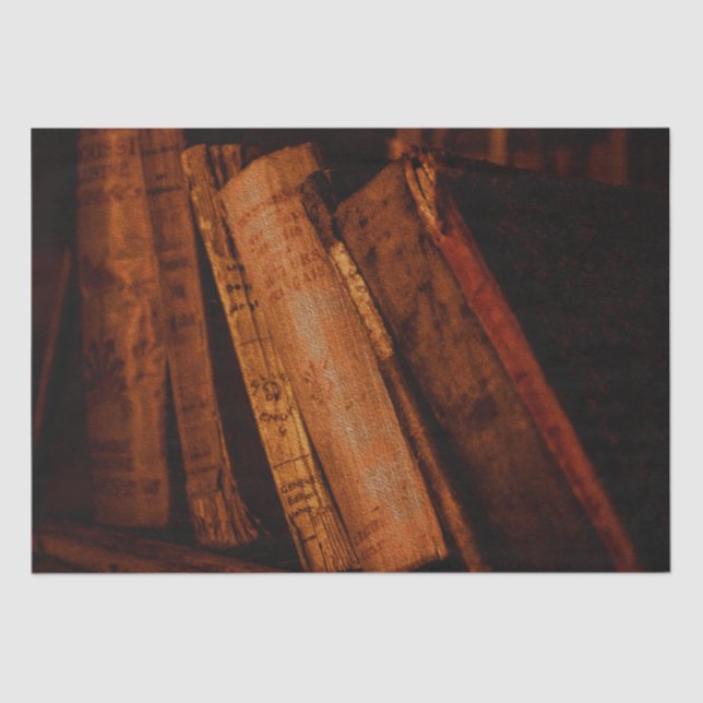 Papel De Seda Biblioteca Antiga e Livros de Antiguidade (Frente )