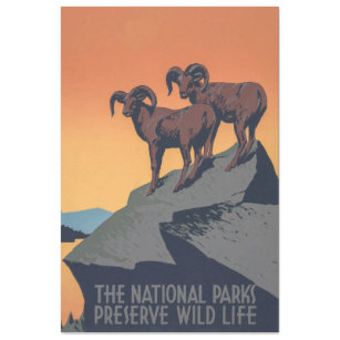 Papel De Seda Bighorn Sheep Sunset Poster