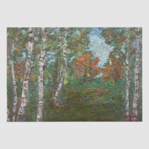 Papel De Seda Birch Trees em uma Floresta Romena (por Kimon Logh