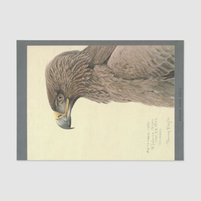 Papel De Seda Bird Ephemera Decoupage Brown Eagle (Frente )
