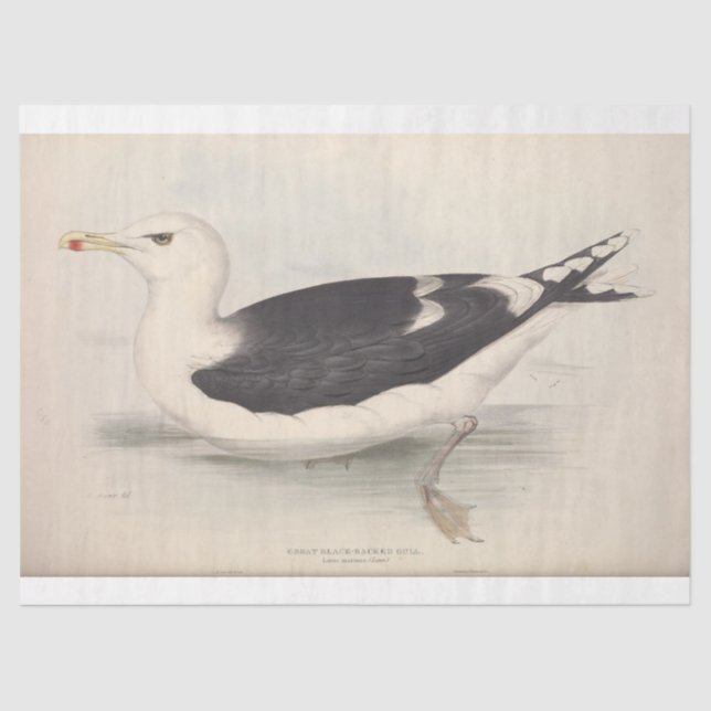 Papel De Seda Bird Ephemera Decoupage Vintage Seagull (Frente )