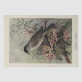 Papel De Seda Bird Floral Ephemera Decoupage Vintage Warbler