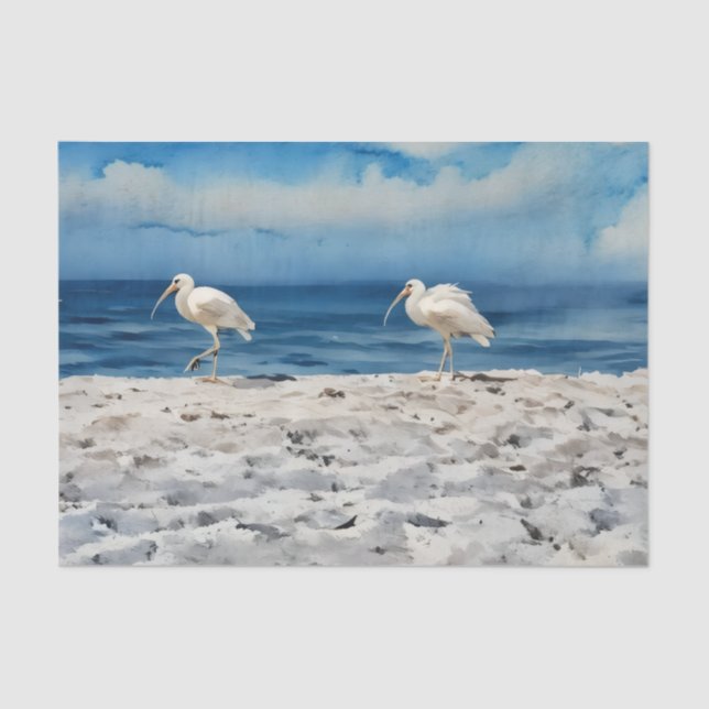 Papel De Seda Birds on the Beach Tissue Paper (Frente )