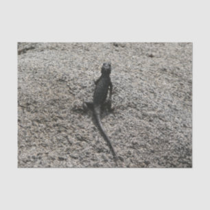 Papel De Seda Black Lizard