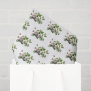 Papel De Seda Blackberry e Blossomo em Branco