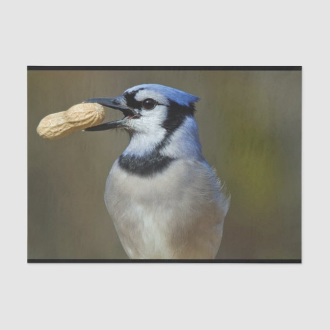 Papel De Seda Blue Jay Peanut (Frente )