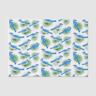 Papel De Seda Blue Jays bonito em pássaros originais do pinheir