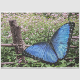 Papel De Seda Blue Morpho Butterfly Design