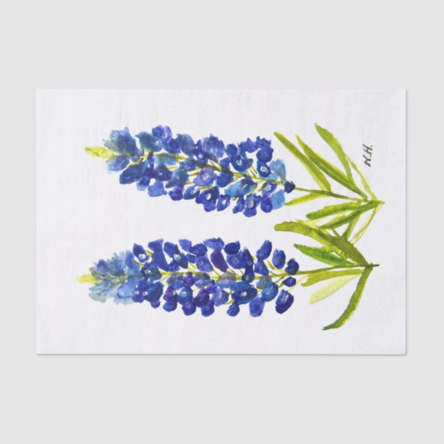 Papel De Seda Bluebonnets Texas State Flowers Lupine Watercolor (Frente )