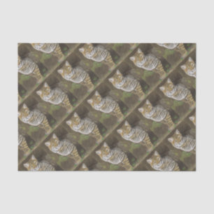 Papel De Seda Bobcat