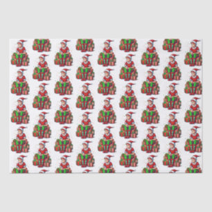 Papel De Seda Bobo Engraçado Natal Papai Noel Elf Kid