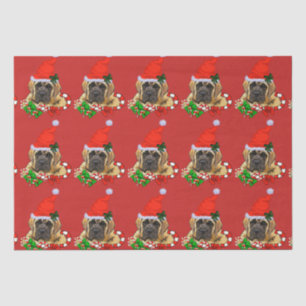 Papel De Seda Bom Natal para Mastiff Inglês