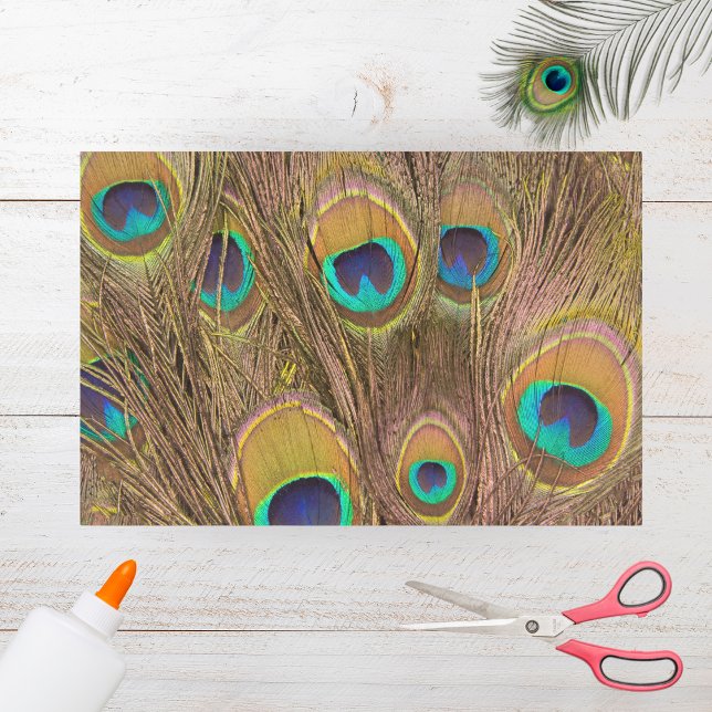 Papel De Seda Bonita Penas de Peacock Castanho (Criador carregado)