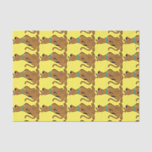 Papel De Seda Bonito mais bonito de Scooby-Doo do que