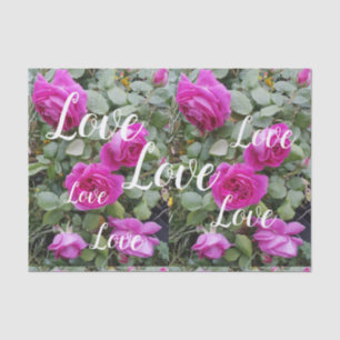 Papel De Seda Bonito Rosa Vintage Rosa Flor Amar