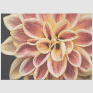 Papel De Seda Bonito Summer Dahlia Flower (Bela Arte Floral)