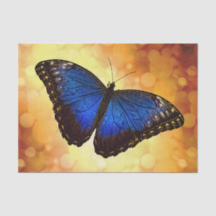 Papel De Seda Borboleta azul de Morpho