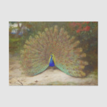 Borboleta de Peacock e Peacock, Ilustração de Arte