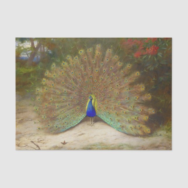 Papel De Seda Borboleta de Peacock e Peacock, Ilustração de Arte (Frente )