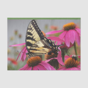 Papel De Seda Borboleta-do-mato-amarela em Echinacea