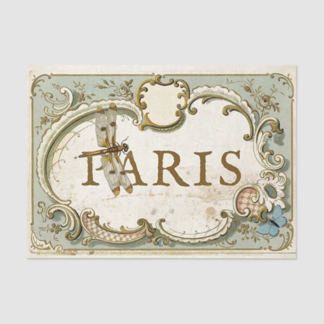 Papel De Seda Borboleta Dragonfly Frame Frame Paris (Frente )