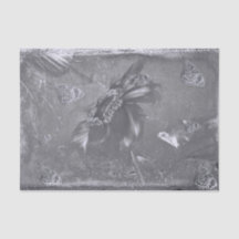 Borboleta Girassol Black White Vintage Negativo
