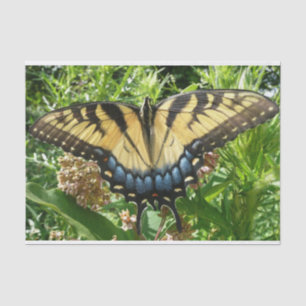 Papel De Seda Borboleta II de Swallowtail em Shenandoah