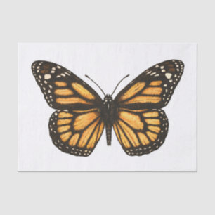 Papel De Seda Borboleta monarca
