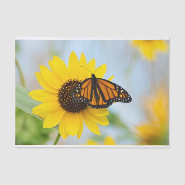 Papel De Seda Borboleta Monarca e Girassóis (Frente )