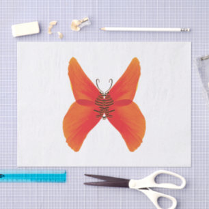 Papel De Seda Borboleta Vermelha Laranja com o seu nome