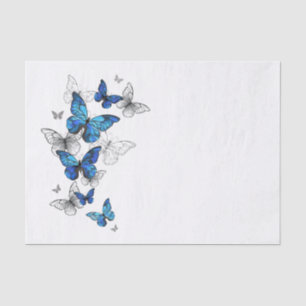 Papel De Seda Borboletas Azuis Morpho