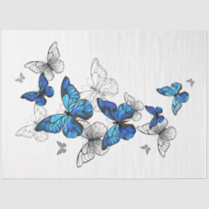 Papel De Seda Borboletas Azuis Morpho