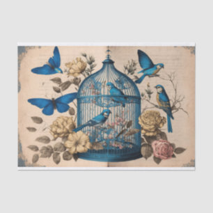 Papel De Seda Borboletas de aves azuis-paraíso