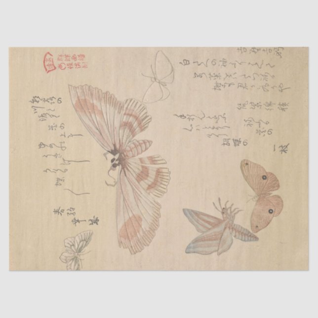 Papel De Seda Borboletas e mariposas por Kubo Shunman (Frente )