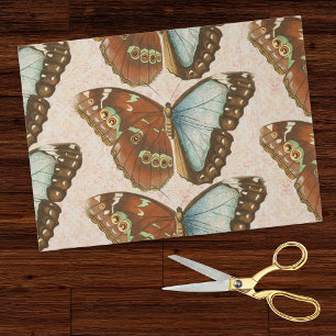 Papel De Seda Borboletas Laranja Teal em Damasco Rosado Vintage