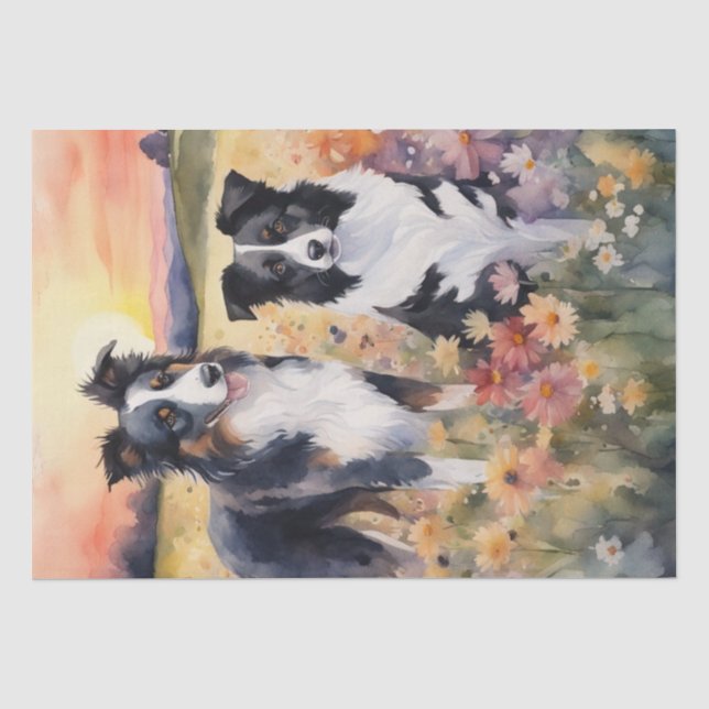Papel De Seda Borda Collie e decoupage Shepard australiana (Frente )