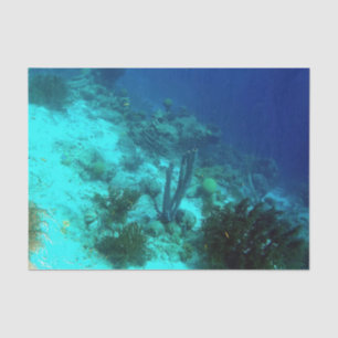 Papel De Seda Borda do recife