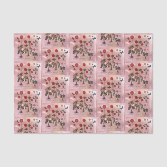 Papel De Seda Botânica Floral Rosa (Frente )