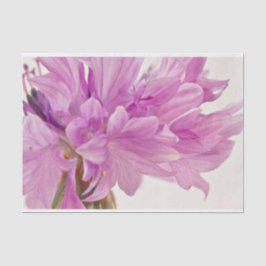 Papel De Seda Botão Batchelor