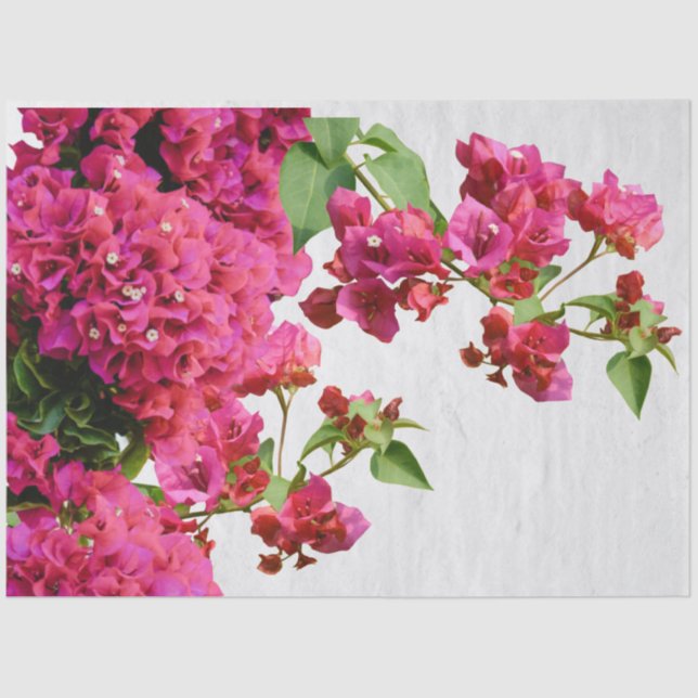 Papel De Seda Bougainvillea Floral Mediterrânica (Frente )