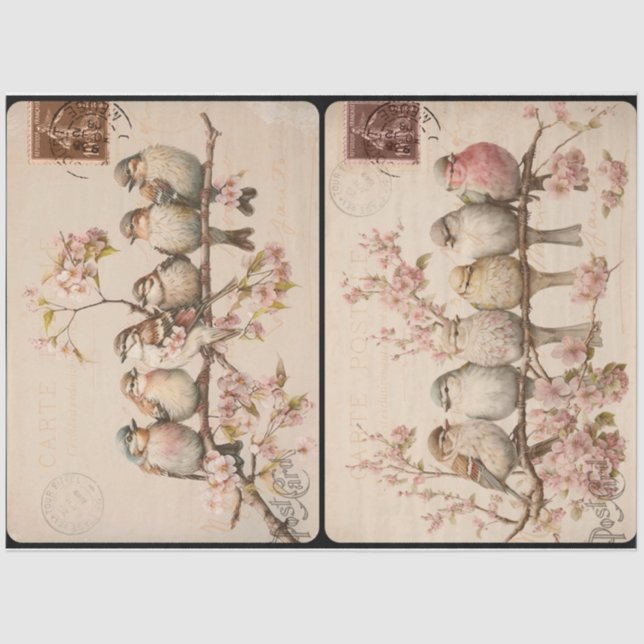 Papel De Seda Branchy Birds (Frente )