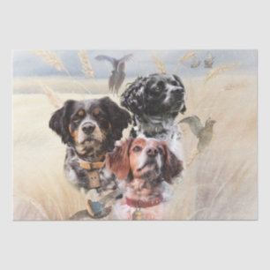 Papel De Seda Brittany Spaniel