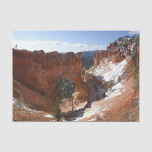 Papel De Seda Bryce Canyon Natural Bridge Snowy Landscape Foto