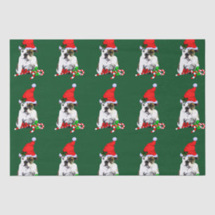 Papel De Seda Bulldog no Natal do Papai Noel