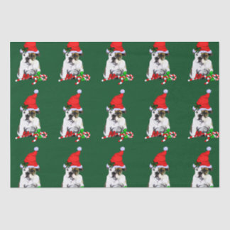 Papel De Seda Bulldog no Natal do Papai Noel